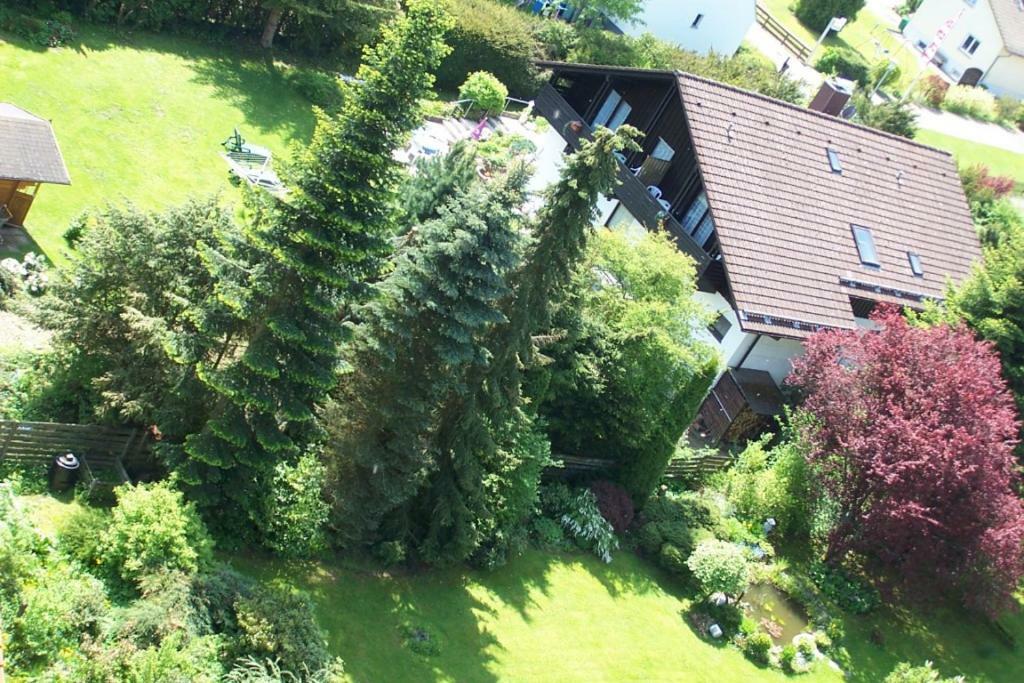Hochwaldhausen Hotel Gruenes Paradies- Garni מראה חיצוני תמונה